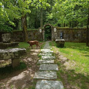 Huis | 7 slaapkamers