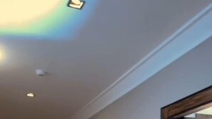 En hotellkorridor med trägolv, en inramad tavla på väggen och en dörr med en skylt ovanför.