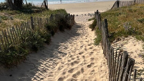 Un sendero arenoso que lleva a una playa con cercas de madera a ambos lados.
