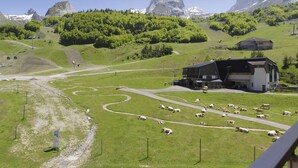 A rural landscape with a large building, possibly a farm or lodge, surrounded by green fields and sheep. - Renovated studio in Gourette, 4 people, pets allowed, wifi (Gourette)