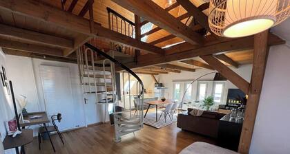 Bregenz - Premium Loft Alois