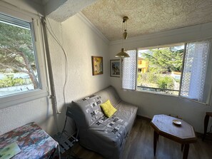 TV