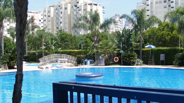 Una piscina con una fuente, rodeada de palmeras y vistas a edificios altos.