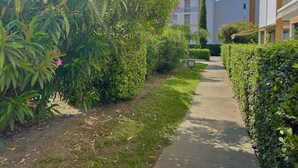 A pathway flanked by lush greenery and a building with a modern design.