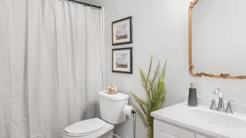 Hair dryer, towels, soap, toilet paper
