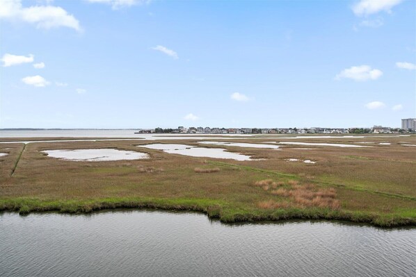 A coastal landscape with water bodies and a distant residential area.