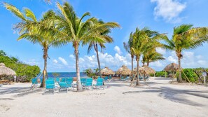 A beach with palm trees, thatched umbrellas, and blue lounge chairs. - Marina & Ocean | Corner Unit | Ocean Pointe 4201 (Tavernier)