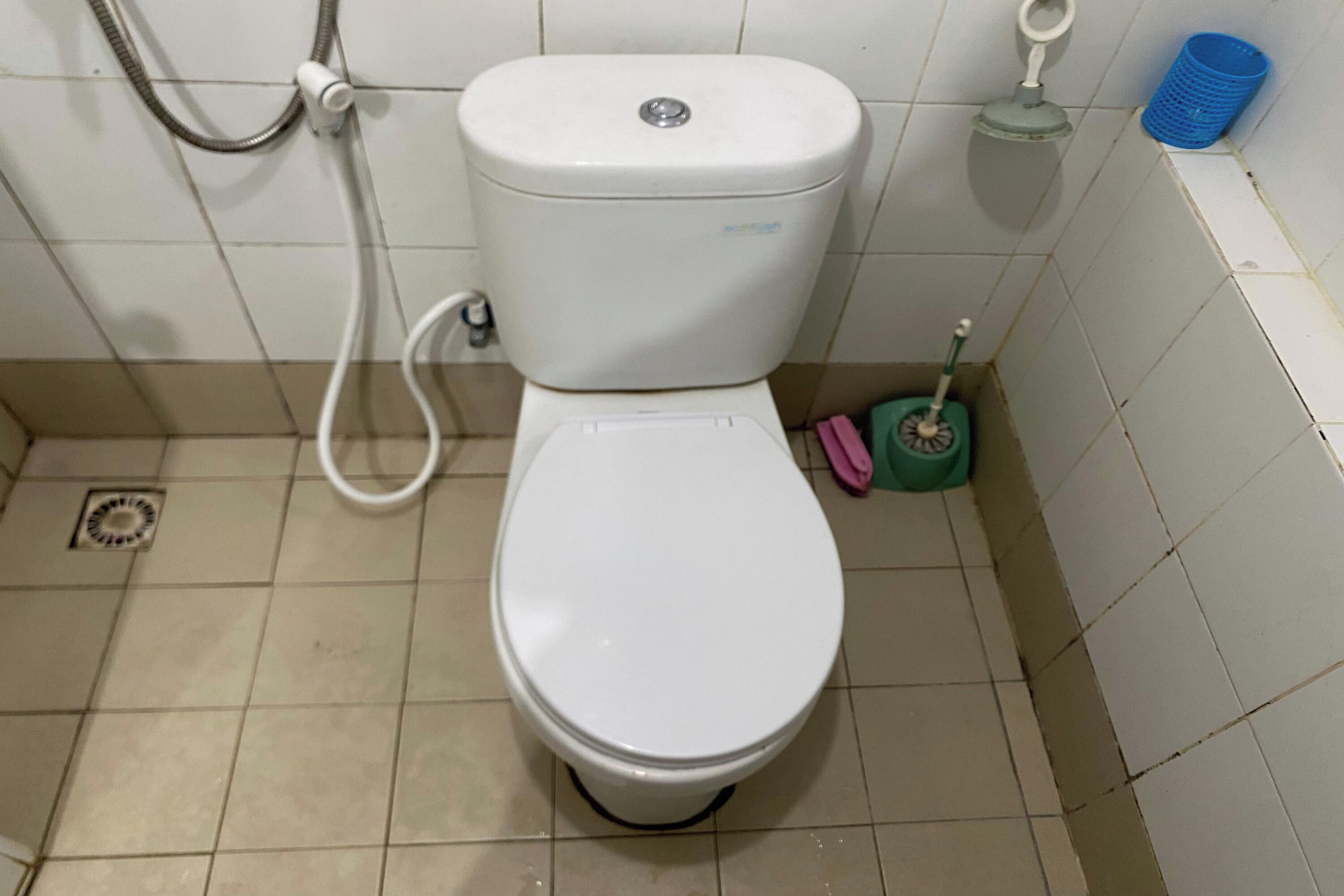 A standard bathroom with a toilet, a shower hose, a floor drain, and a cleaning brush.