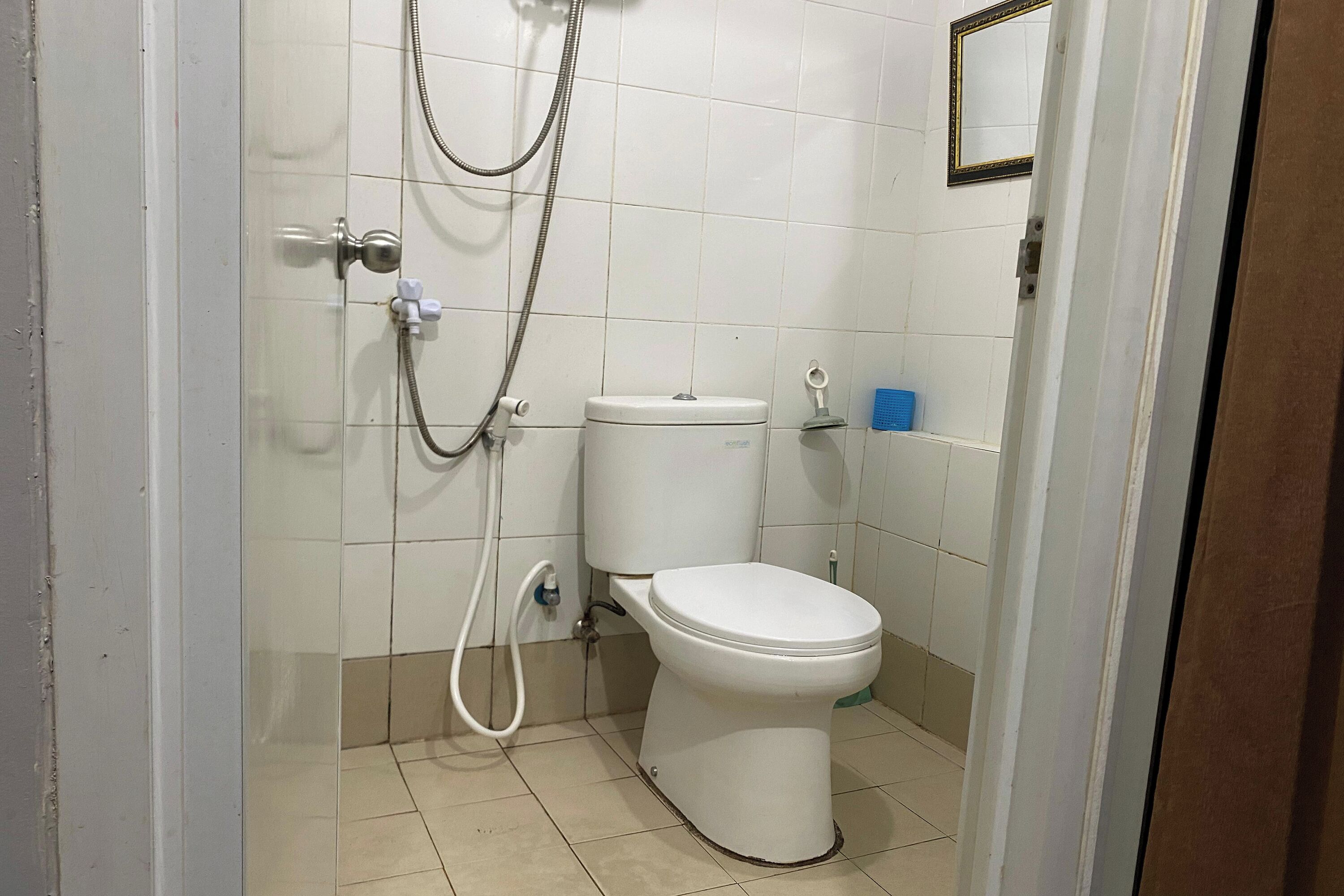 A bathroom with a toilet, a shower, and a mirror on the wall.