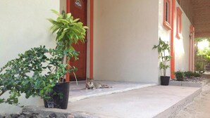 Un edificio con un porche cubierto, plantas en macetas y un gato acostado en los escalones.