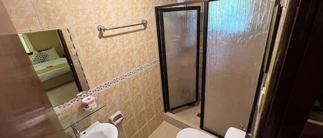 Une salle de bain avec un lavabo, des toilettes et une douche.