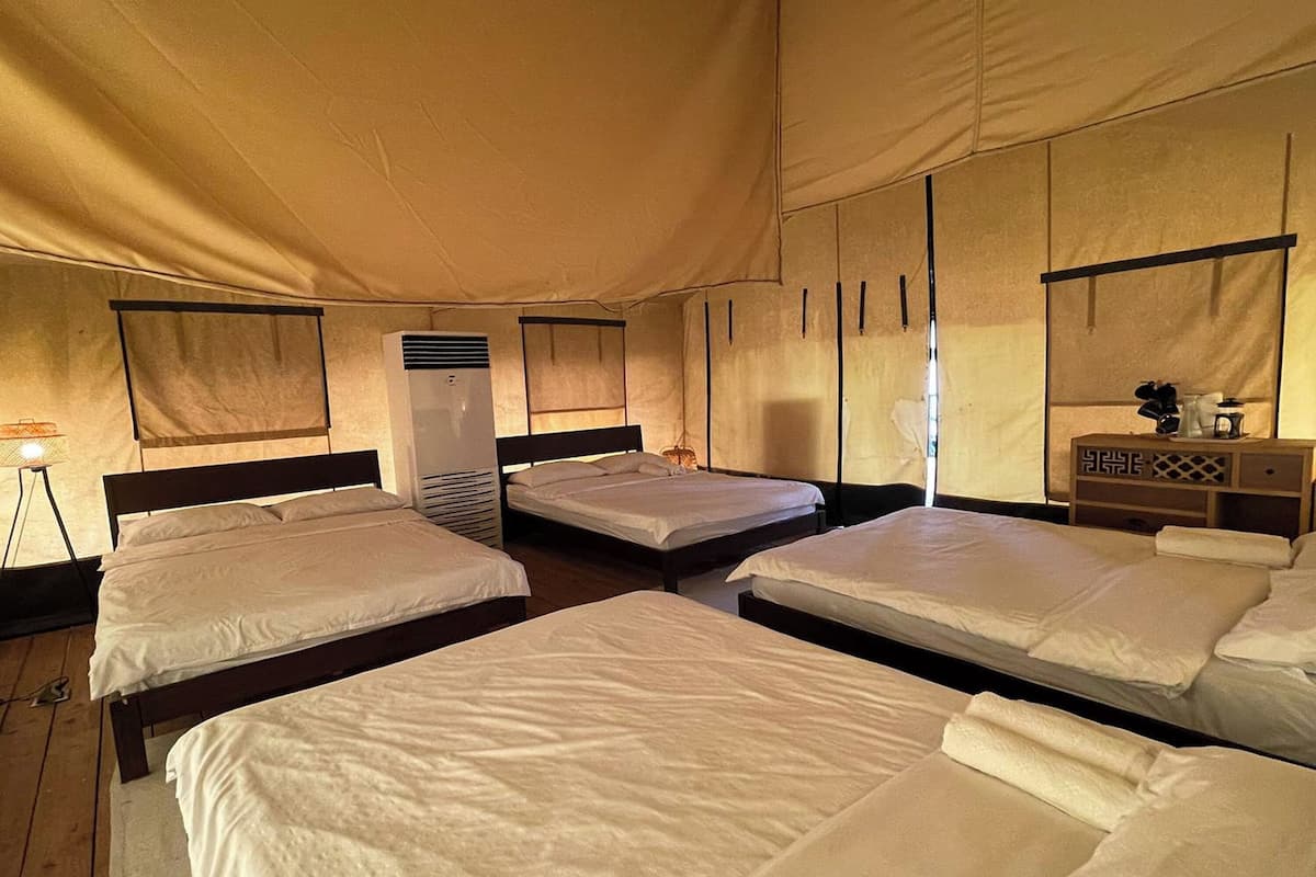 A tented accommodation with four beds, a bedside table, and a lamp.