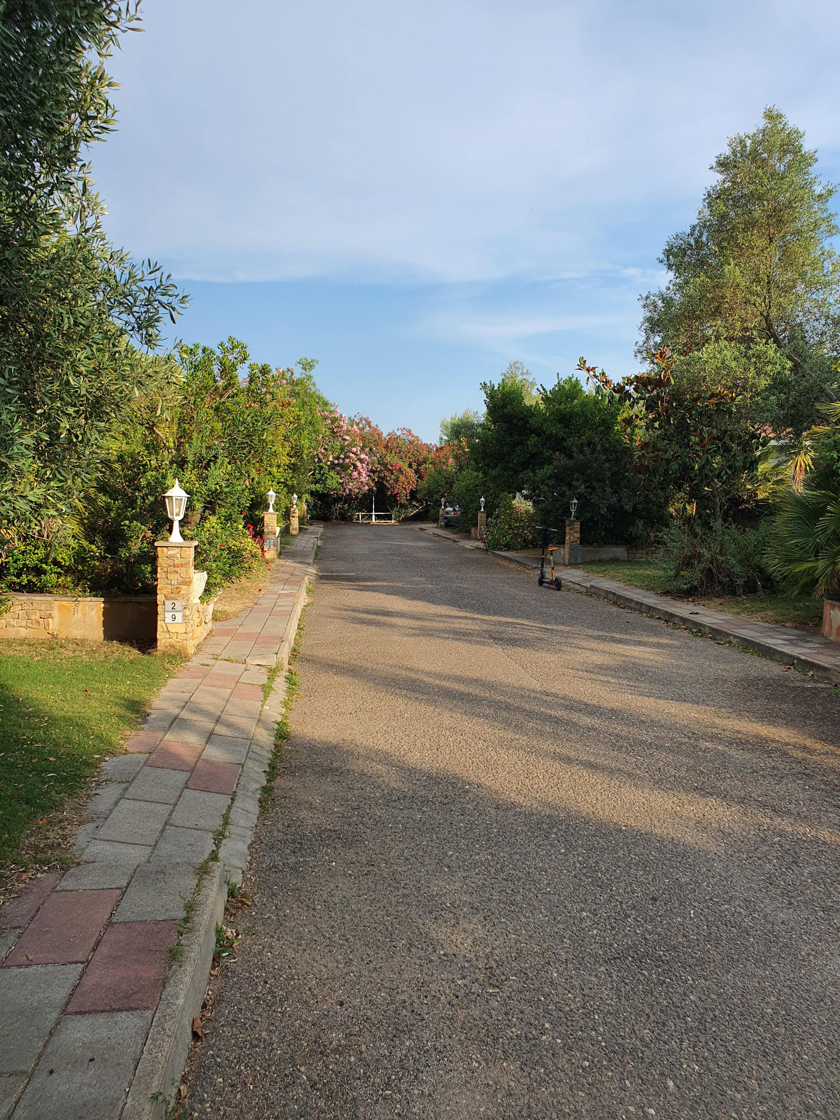A paved driveway leading to a gated entrance surrounded by lush greenery and stone lamp posts.