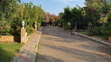 A paved driveway leading to a gated entrance surrounded by lush greenery and stone lamp posts.
