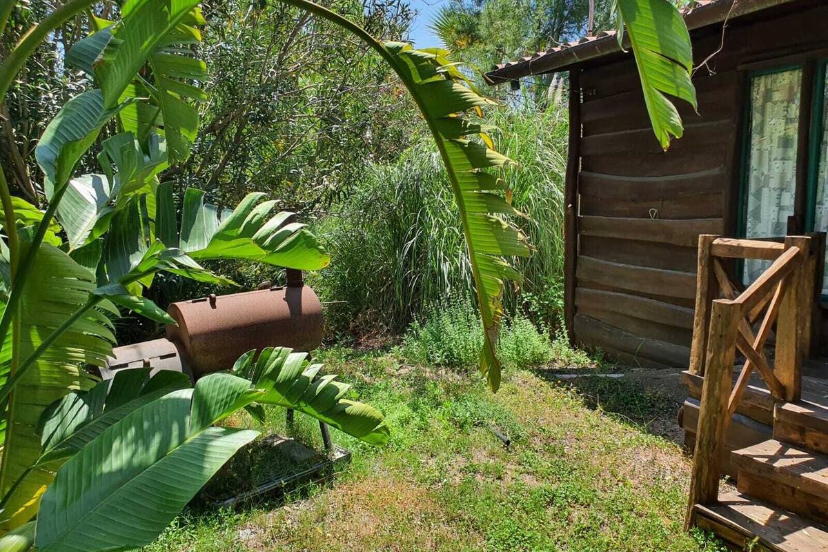 Basic Chalet | Free cots/infant beds, free WiFi, bed sheets