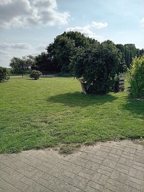 Un champ herbeux avec un chemin pavé, entouré d’arbres et d’une clôture.