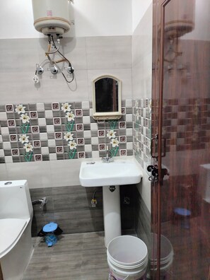 Shower, hair dryer, bidet, towels