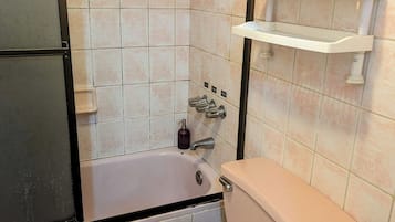 Hair dryer, towels, soap, toilet paper