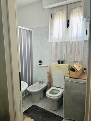 Regadera, secadora de cabello, bidet, toallas