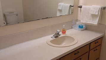 Shower, eco-friendly toiletries, hair dryer, towels