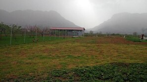 Property grounds - Villa with Garden View (Trikala)