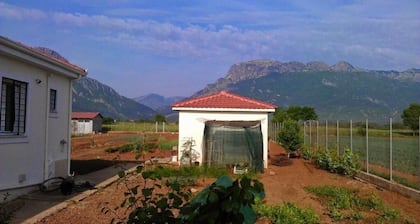 Villa with Garden View