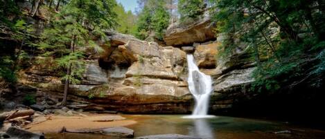Una cascata in una zona boscosa, con una scogliera rocciosa e un ruscello limpido sottostante.