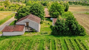 Uma propriedade rural com um edifício branco, uma estrada pavimentada e um vinhedo.