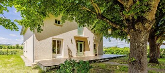 Le gite de la Grappe - Terrace - Gaillac