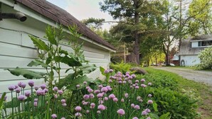 A garden with purple flowers in front of a house. - 10 Mi To Gore Mountain: Home In Adirondack Park 5 Bedroom Home (Olmstedville)