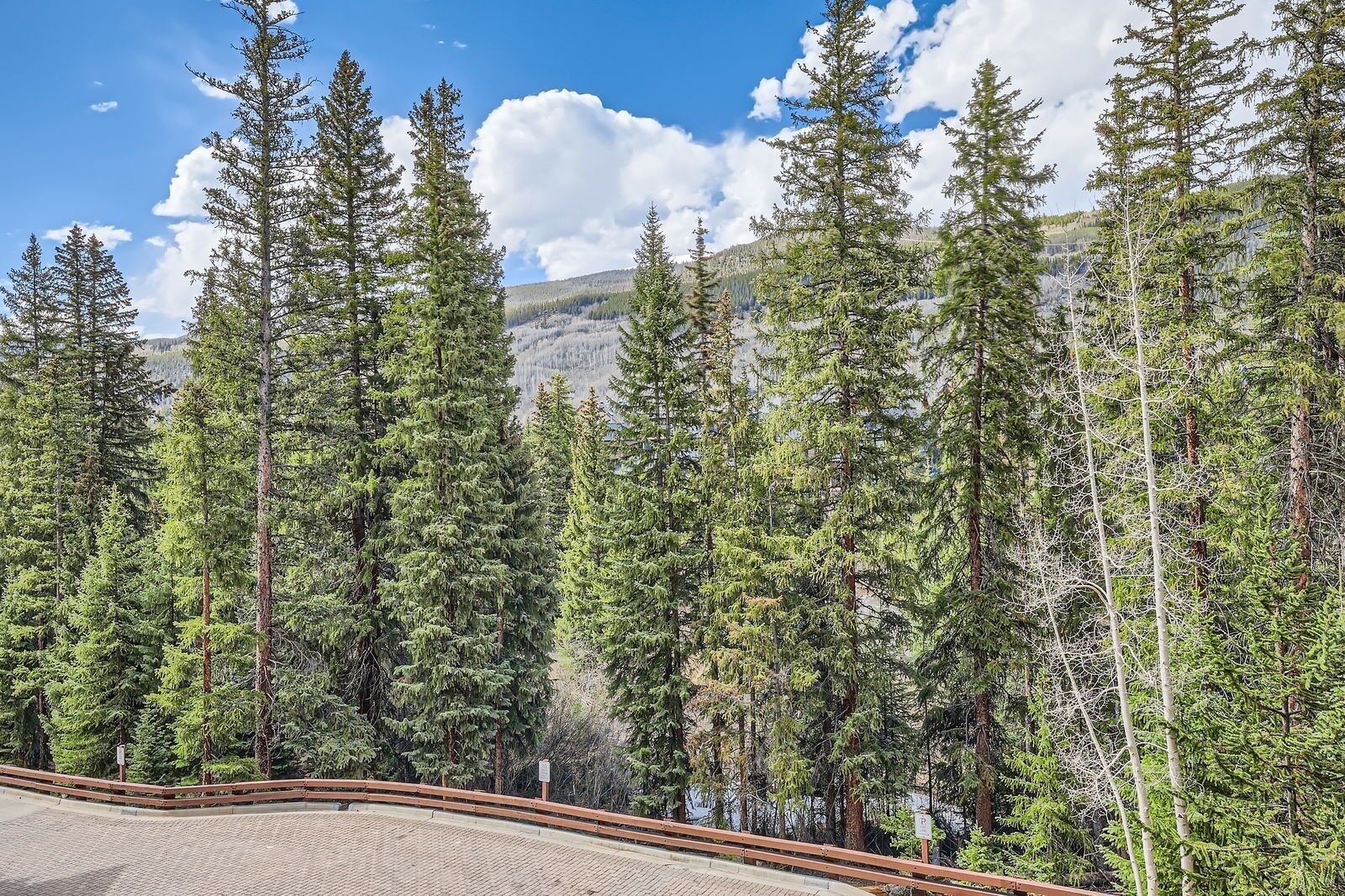 A forested area with a paved walkway and a wooden railing.
