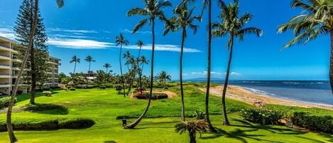 Condo, 2 Bedrooms | Property grounds
