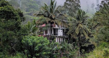 Charming Tea Garden Stay – 2 Bed Rooms Near Demodara Railway Loop