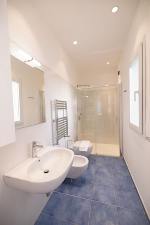 Regadera, secadora de cabello, bidet, toallas