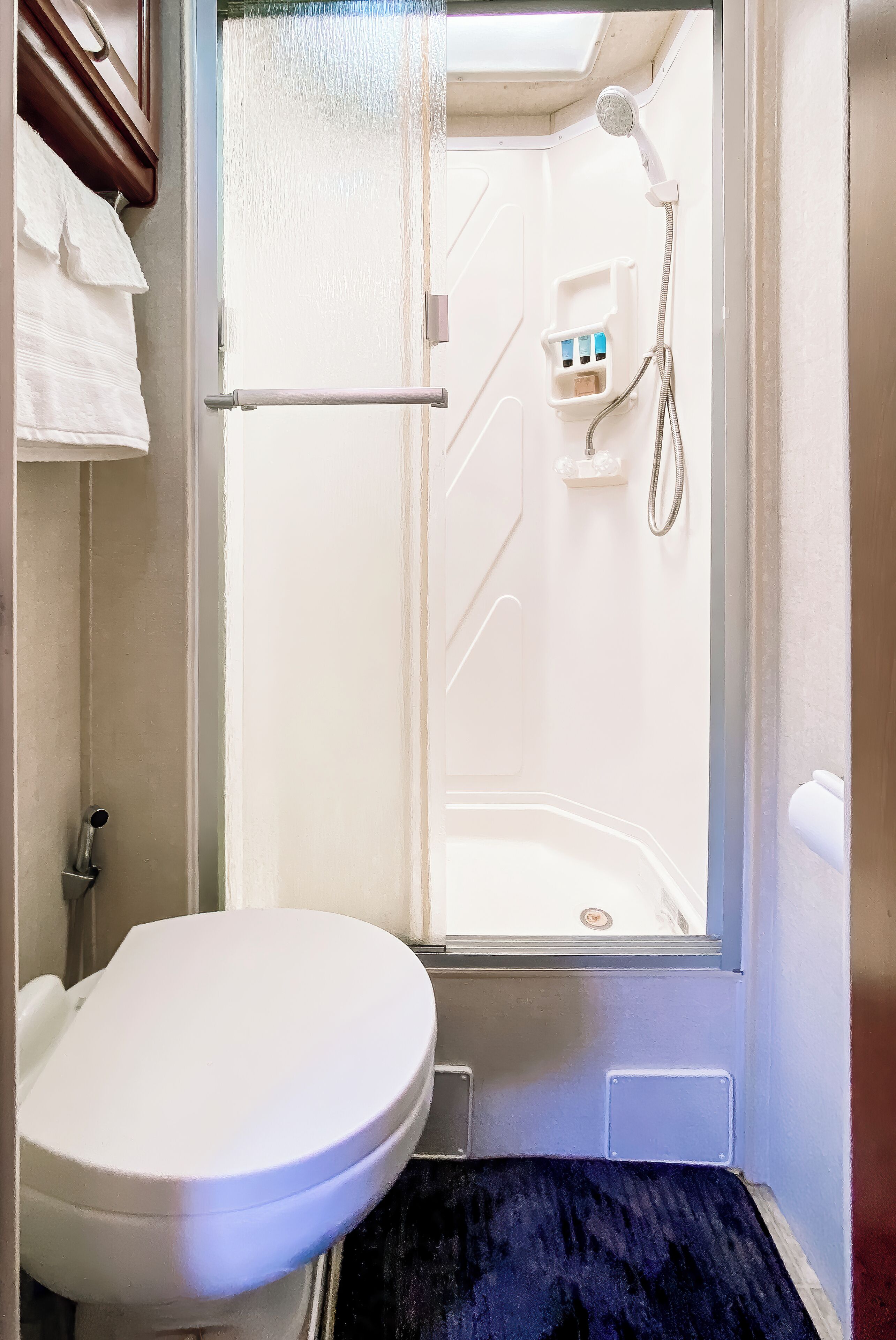 Un baño pequeño con inodoro, cabina de ducha y un estante con artículos de aseo.