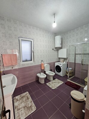 Shower, hair dryer, bidet, towels