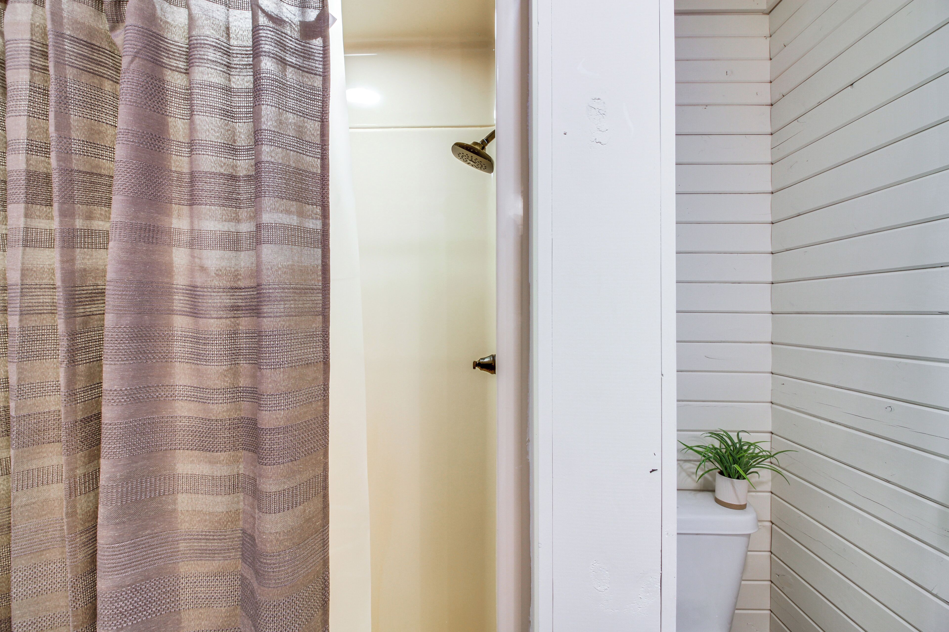 Un baño con ducha, inodoro y una pequeña planta en maceta.