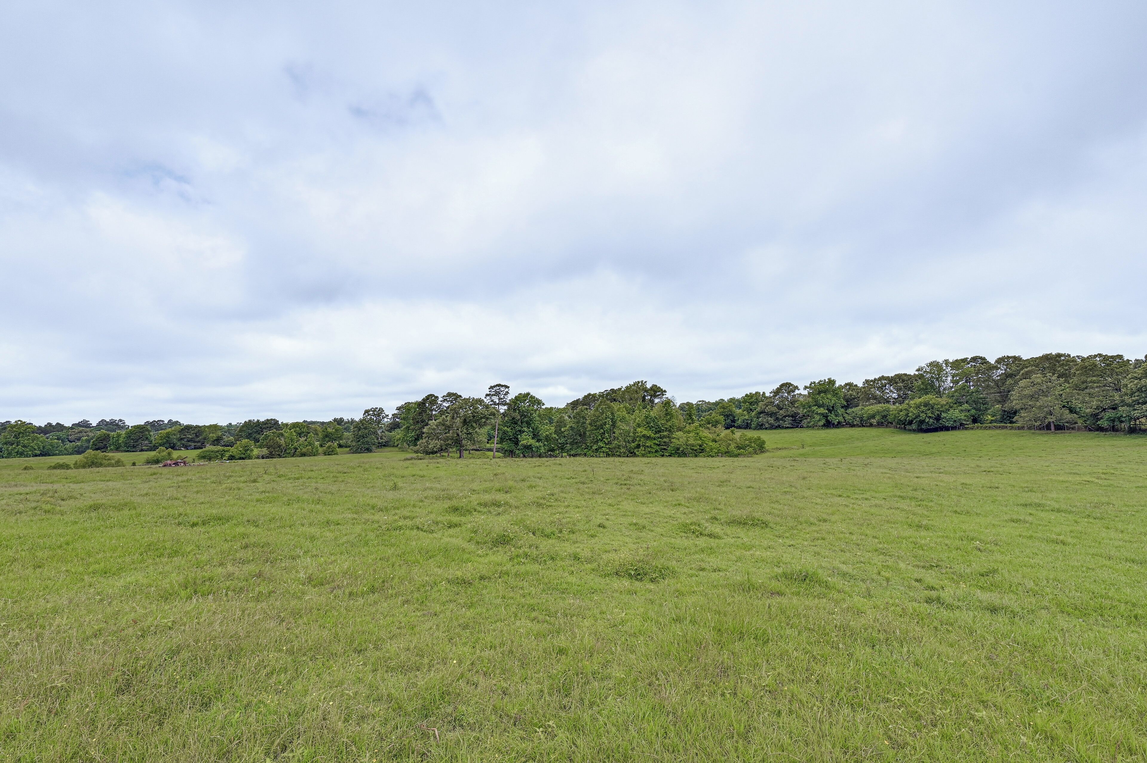 A wide, open grassy field with a line of trees in the distance under a cloudy sky.