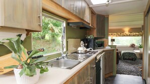 A compact kitchen with a sink, stove, and microwave. There is a window providing natural light and a view of greenery outside. - Gwybedog (Llanwrda)