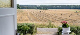 Idyllic Farm and Forest Escape