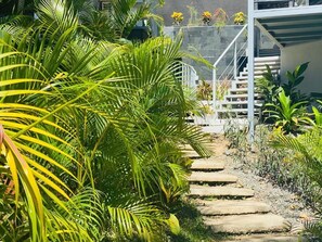 Property grounds - Las Naveiras (Tamarindo)