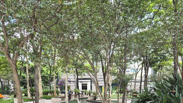 A landscaped garden with a water feature, trees, and a building in the background. - Staybridge - Sophisticated space in Itaim Bibi (Itaim Bibi São Paulo)