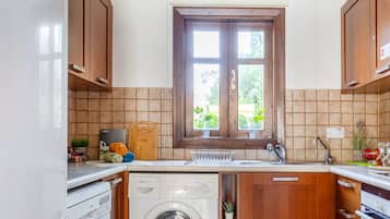 Apartment, 2 Bedrooms, Terrace, Pool View | Laundry