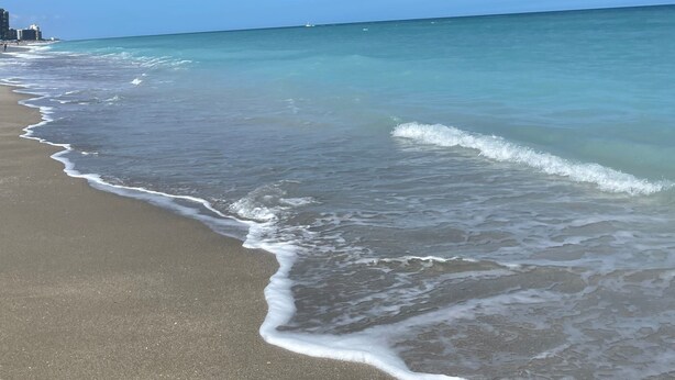 A beach with clear blue water and a sandy shore.