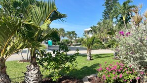 A landscaped garden with palm trees, flowering shrubs, and a paved walkway.