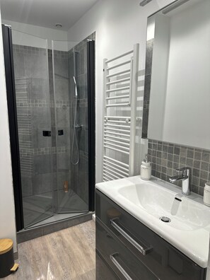 Shower, hair dryer, toilet paper