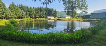 Trailside Camp - Glamping Tent near Oneonta & Cooperstown