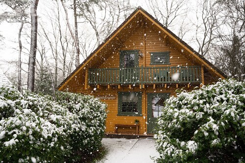 Cozy Swedish group home in forest with private parking