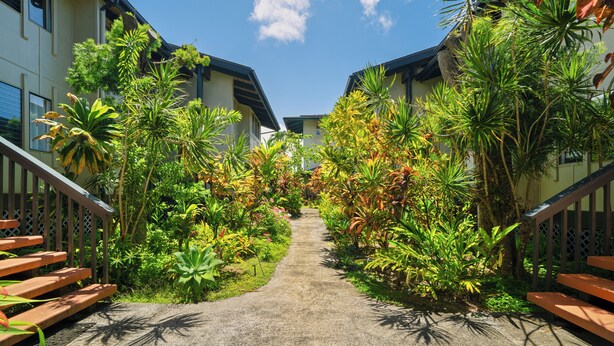 Un sendero bordeado por exuberante vegetación tropical que conduce a un edificio con techo inclinado.