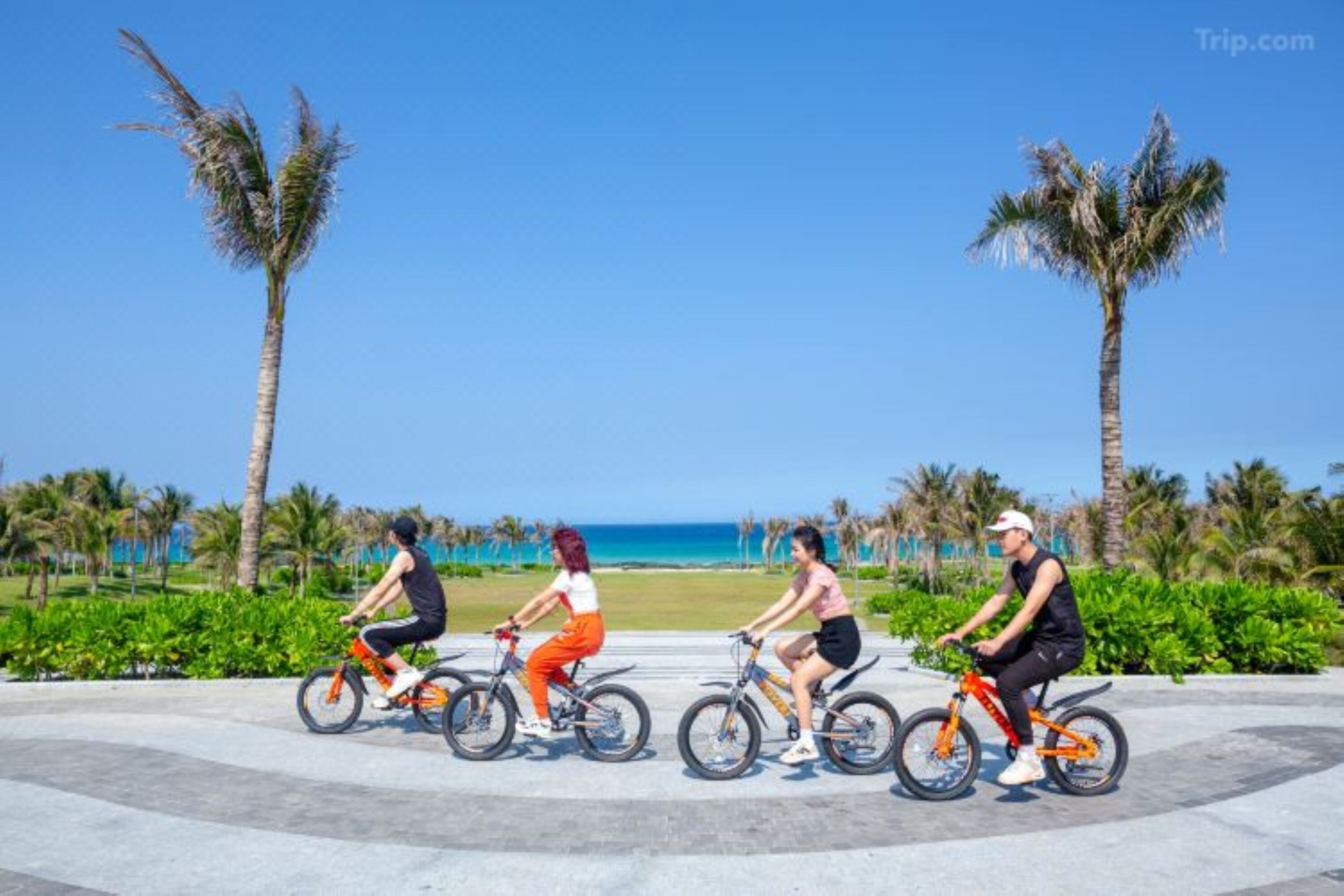 Four people riding bicycles on a paved path with palm trees and a beach in the background.